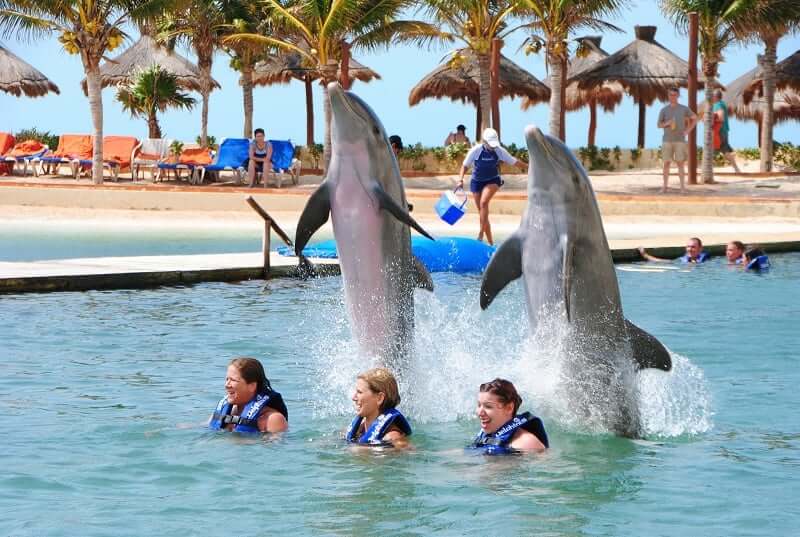 nado com golfinhos em cancun